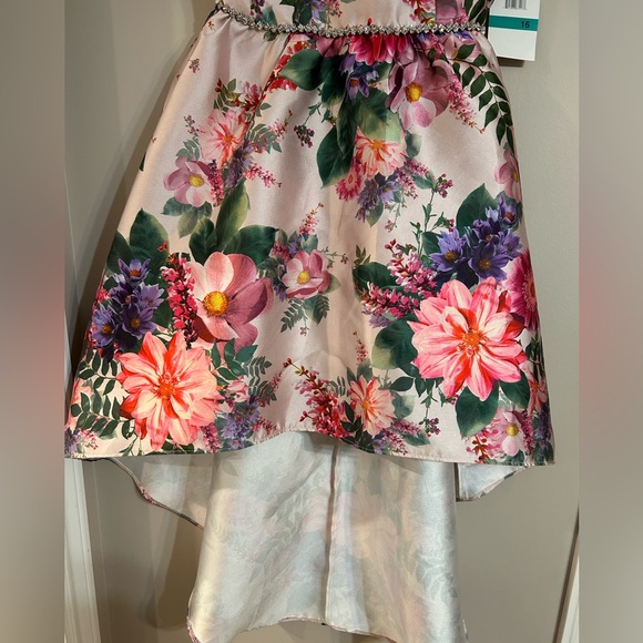 Girls size 16 Rare Edition high/low dress. Blush with floral, NWT satin youth - Picture 10 of 11